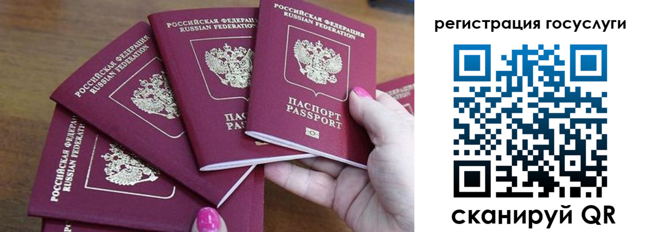 прописка в Цимлянске